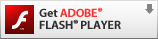 Adobe Flash Player herunterladen >